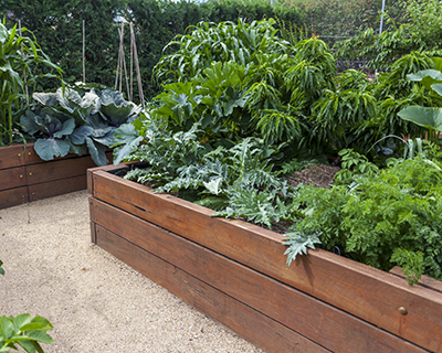 Backyard vegetable garden with railway sleepers