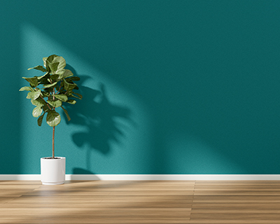 Green wall with white skirting